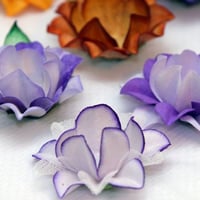 maracujas com,ou sem folhas.Poem ser duplos ou triplos e podem ter variações nos tecidos ou cores