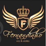 fernandinho