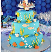 Aniversario com Festa Boa Fotografias em Aracaju, Sergipe, Fotografo de Aniversario.