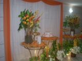 festaeciabuffetcompleto