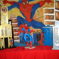 HOMEM ARANHA