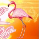 flamingofestas