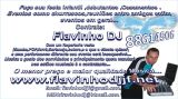 flavinhodjfesta