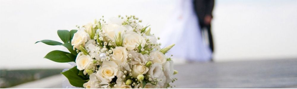 Flor de Liz Decoracao