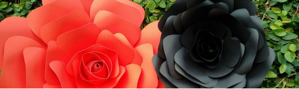 Flores rs