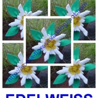 FLORES EVA