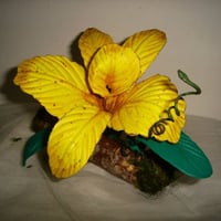 FLORES EVA ORQUIDEA