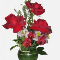 Trio Rosas Colombianas