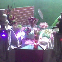 15 anos