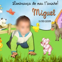 1 ano