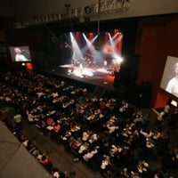 shows
