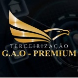 gaoseg