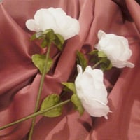FLORES PORTA TERCINHO PARA TESTEMUNHAS