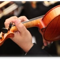 Violino