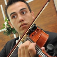 Violino