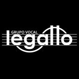 grupovocallegatto