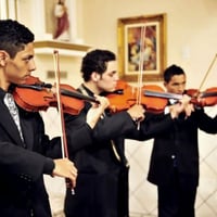 Violinos