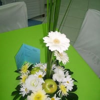 arranjo baixo