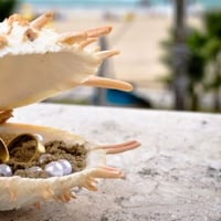 Alianças