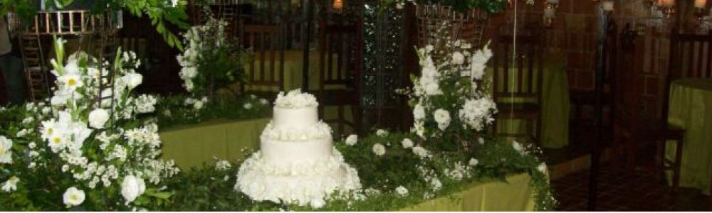 Ideiadibuteco Organização de Eventos Diversos