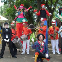 muito show e diversão para você e sua família