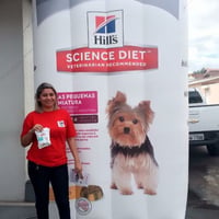 Réplica Promocional Inflável Saco ração 3 mts de altura