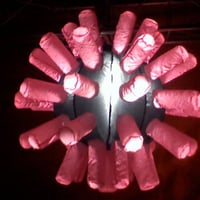 virus lelula