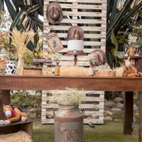 Tema Cowboy ao ar livre