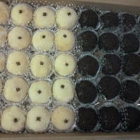 Brigadeiro e beijinho