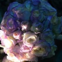 bouquet de noivas