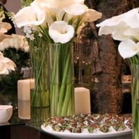 Casamento / comercial@jdcerimonial.com.br