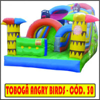Tobogã Angri birds