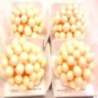 docinhos á partir de 30,00 o cento