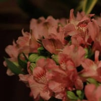 Detalhes