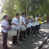 Bandinha de marchinhas (98809-5434)