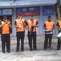 Animação Com Banda (98809-5434)
