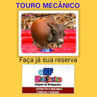 Touro mecânico