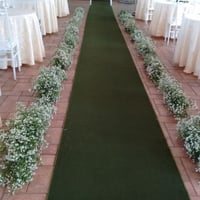 passarela de Aster