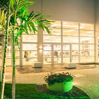 Jardim com iluminação à noite