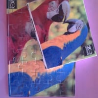 Quebra cabela em diversos formatos e quantidades de peças