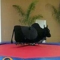 TOURO MECÂNICO