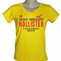 CAMISETA FEMININA HOLLYSTER