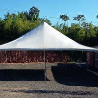 lona 10x10