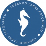 lorandolabbe
