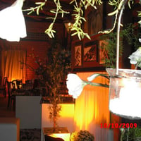 ARVORE FRANCESA C/ VERDES E VELAS