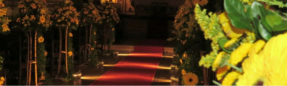 Luz Decorativa Ambiente Para Festas e Eventos