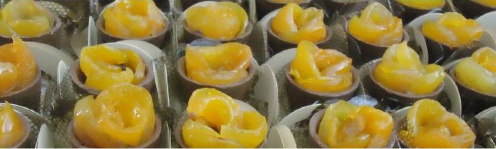 Doces Finos- Bolos Temáticos e um mundo de gostosuras