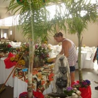 BAILE DO HAWAI -DECORAÇÕES EM ARARAQUARA E REGIÃO.