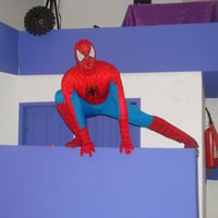 Homem Aranha