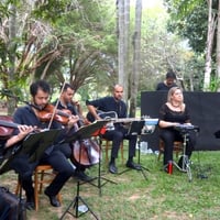 Orquestra Mamadoc